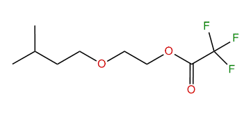 2-Isopentoxyethyl trifluoroacetate